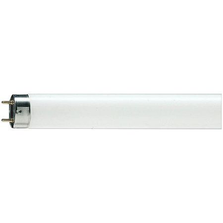 Лампа люминесцентная OSRAM G13 36W/765 (длинная)