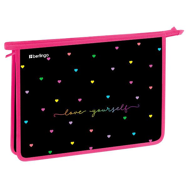 Папка для тетрадей 1 отделение, А4 Berlingo "Love Yourself", 340*245*40 мм, пластик, на молнии