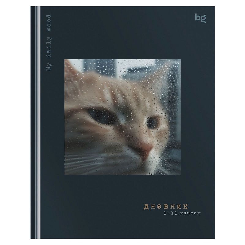 Дневник 1-11 кл. 48л. (твердый) BG "Грусть", матовая ламинация, выб.лак