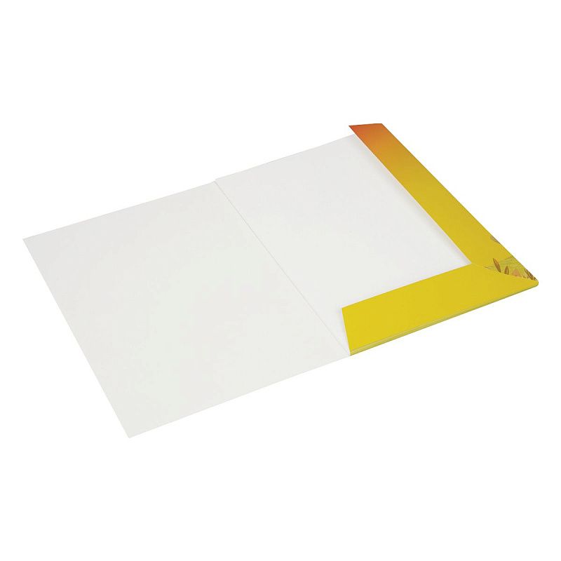 Папка для акварели, 10л., А4 Мульти-Пульти "Енот в Волшебном мире", 200г/м2