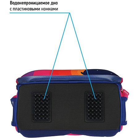Ранец Berlingo Expert "Surprised cat" 37*28*16см, 2 отделения, 2 кармана, анатомическая спинка 