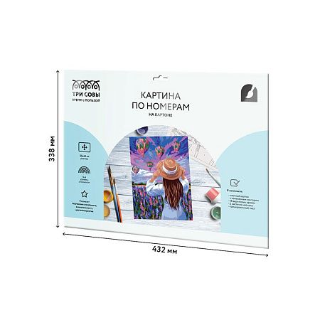 Картина по номерам на картоне ТРИ СОВЫ "Воздушные шары", 30*40, с акриловыми красками и кистями