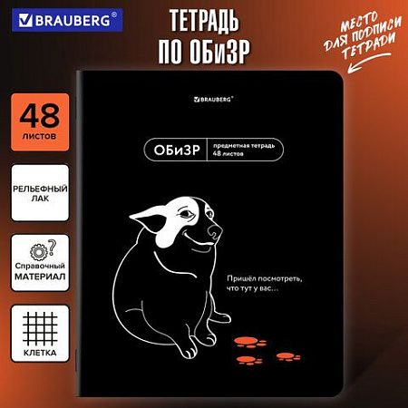 Тетрадь предметная МЕМЫ 48 л., TWIN-лак, ОБиЗР, клетка, подсказ, BRAUBERG, 405108