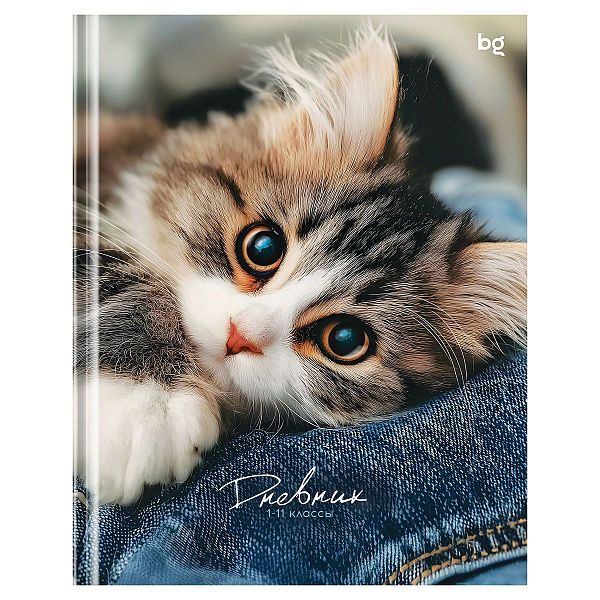 Дневник 1-11 кл. 48л. (твердый) BG "Мур", матовая ламинация