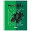 Дневник 5-11 кл. 48л. (твердый) BG "Football", матовая ламинация