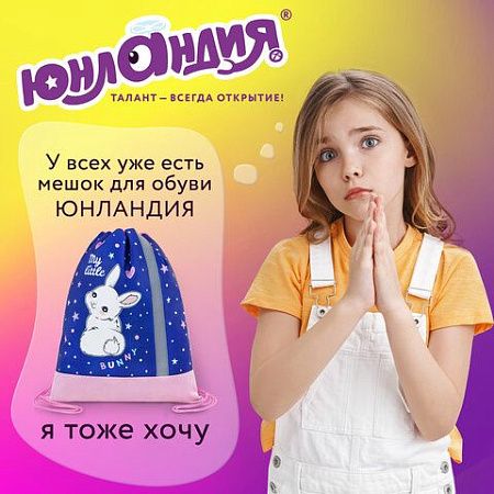 Мешок для обуви ЮНЛАНДИЯ, плотный, светоотражающая полоса, 46х36 см, "Fluffy tail", 272409 