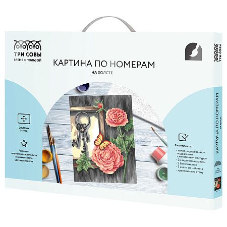 Картина по номерам на холсте ТРИ СОВЫ "Ключи", 30*40, с акриловыми красками и кистями