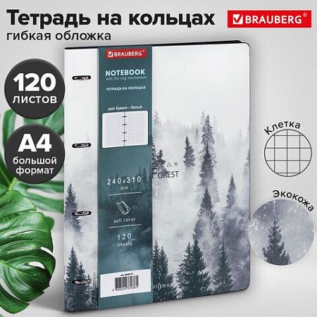Тетрадь на кольцах БОЛЬШАЯ А4 (240х310 мм), 120 л., под кожу, BRAUBERG VISTA, "Туман", 404515