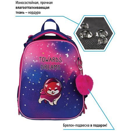 Ранец Berlingo Expert "Akita boy" 37*28*16см, 2 отделения, 2 кармана, анатомическая спинка 