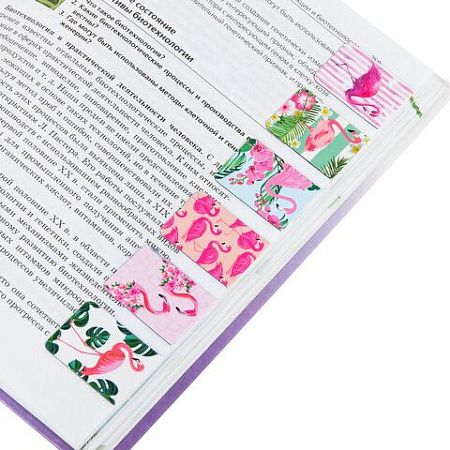 Закладки для книг МАГНИТНЫЕ, "FLAMINGO", набор 6 шт., 35x25 мм, BRAUBERG, 113165 