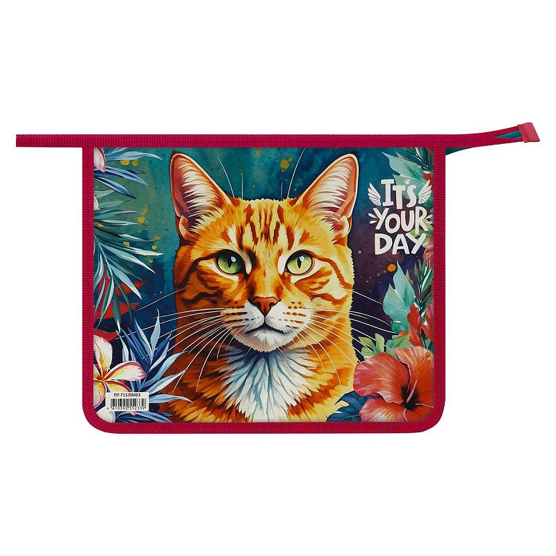 Папка для тетрадей 1 отделение, ArtSpace "The Red Cat", А5, пластик, на молнии 