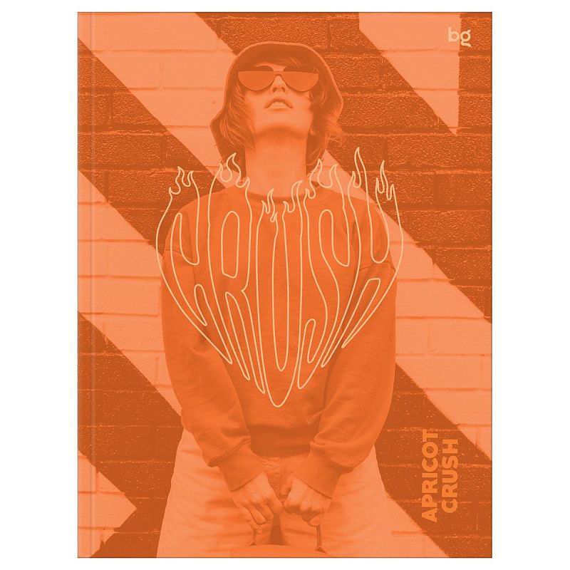 Бизнес-блокнот А5, 64л., ЛАЙТ BG "Оранжевый настрой", soft-touch ламинация