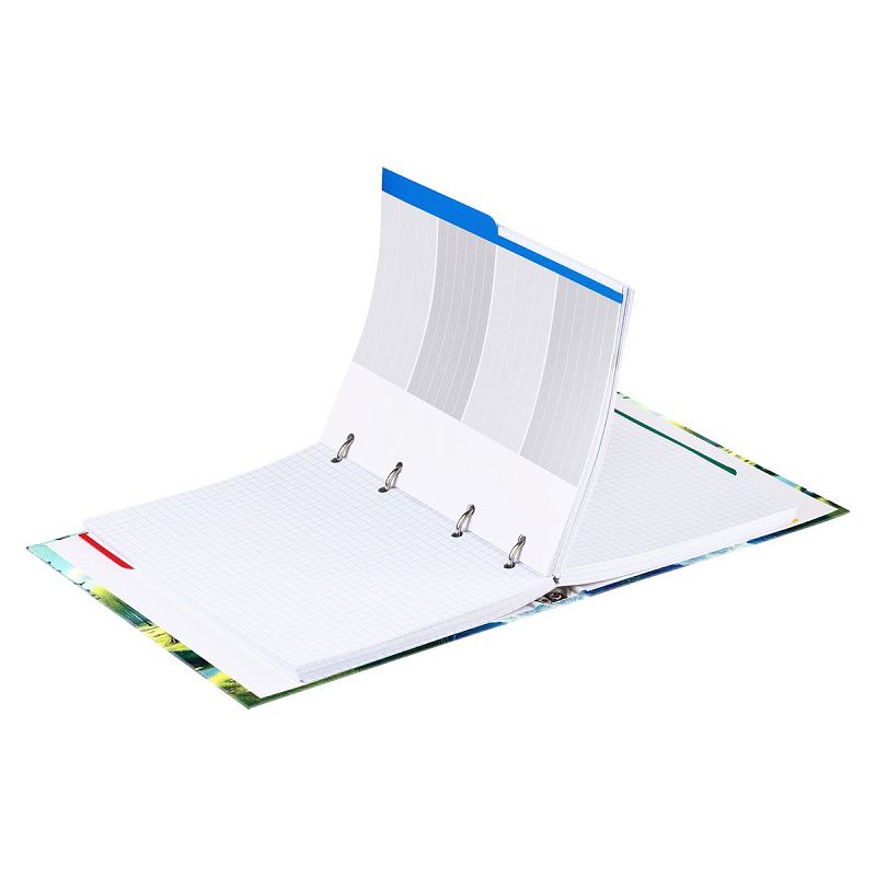 Тетрадь на кольцах А5, 240л., BG "Весна навсегда", глянцевая ламинация