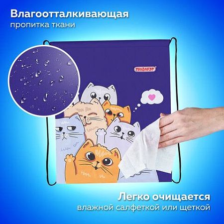Мешок для обуви ПИФАГОР, 1 отделение, 40х32 см, Cats greetings, 272382 