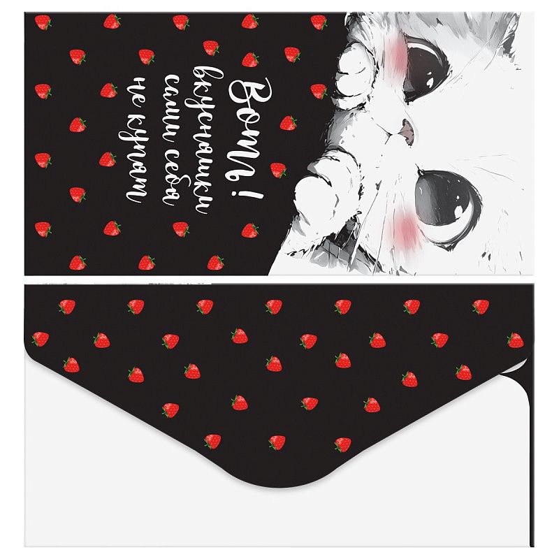 Конверт для денег MESHU "Funny cats" 85*164мм, матовая ламинация, 4 дизайна