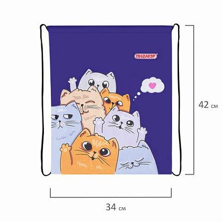 Мешок для обуви ПИФАГОР, 1 отделение, 40х32 см, Cats greetings, 272382 