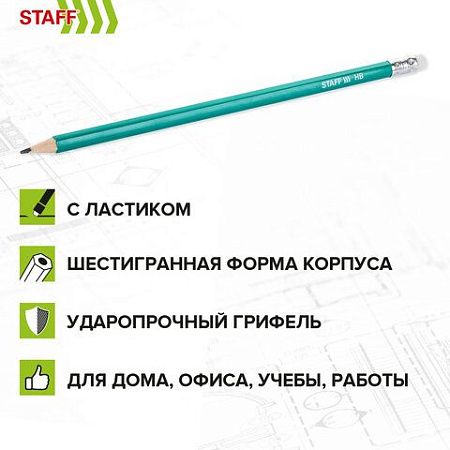 Карандаши чернографитные с ластиком STAFF EVERYDAY BLP-GRN, КОМПЛЕКТ 50 шт., НВ, корпус зеленый, 181941 