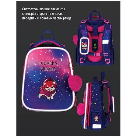 Ранец Berlingo Expert "Akita boy" 37*28*16см, 2 отделения, 2 кармана, анатомическая спинка 