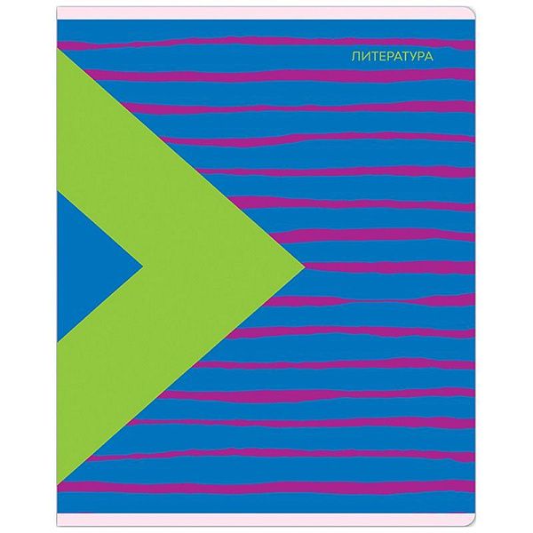 Тетрадь предметная 48л. MESHU "Bright splash" - Литература, матовая ламинация, выборочный УФ-лак