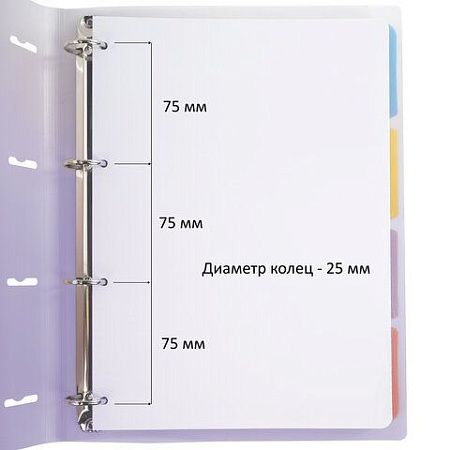 Тетрадь на кольцах БОЛЬШАЯ 305х235 мм А4, 120 л., пластик, с разделителями, BRAUBERG, Фиолетовый, 404623
