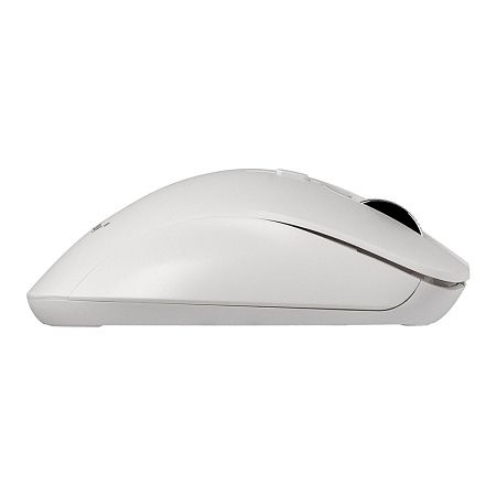 Мышь беспроводная Smartbuy 616AG, бесшумная работа кнопок, белый, 5btn+Roll