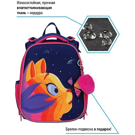 Ранец Berlingo Expert "Surprised cat" 37*28*16см, 2 отделения, 2 кармана, анатомическая спинка 