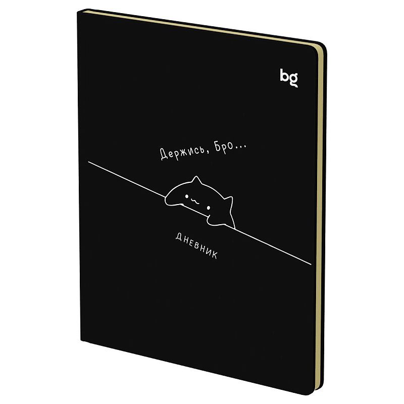 Дневник 1-11 кл. 48л. (твердый) BG "Держись", иск. кожа (балакрон), печать, ляссе