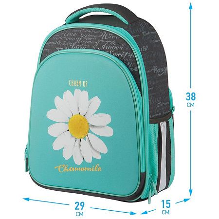 Ранец Berlingo Expert Plus "Chamomile" 38*29*15см, 2 отделения, 2 кармана, анатомическая спинка 