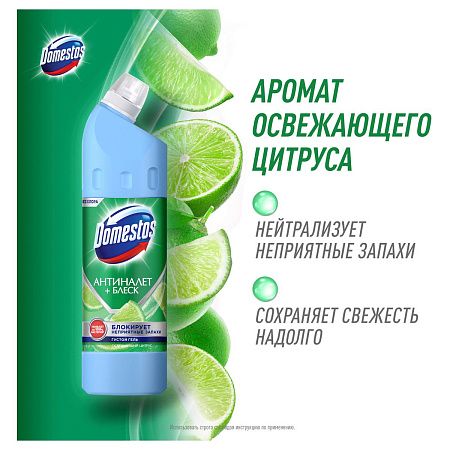 Чистящее средство универсальное Domestos "Антиналет+блеск. Освежающий цитрус", гель, без хлора, 750мл 
