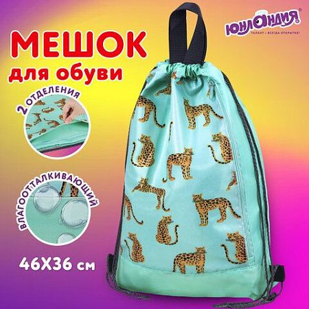Мешок для обуви ЮНЛАНДИЯ, с ручками, боковой карман на молнии, 46х36 см, "Wild Cats", 271614 