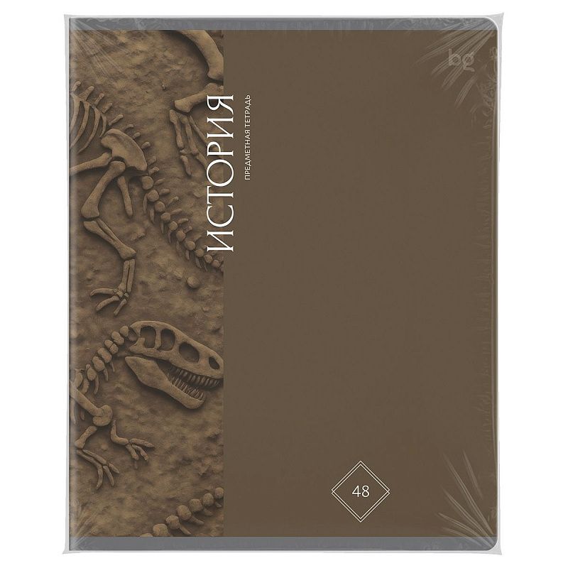 Тетрадь предметная 48л. BG "Гармония знаний" - История, soft-touch ламинация