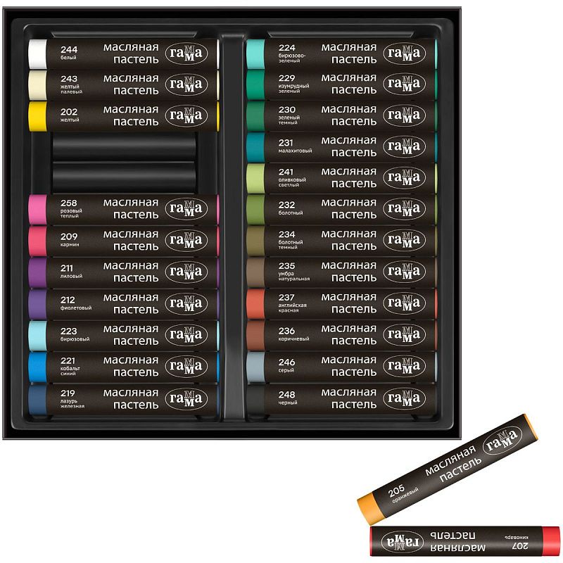 Пастель масляная Гамма, 24 цвета, картон. упаковка