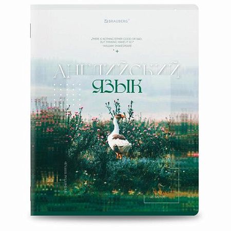 Тетради предметные, КОМПЛЕКТ 12 ПРЕДМЕТОВ, 48 л., глянцевый УФ-лак, BRAUBERG "ILLUSION", 405171