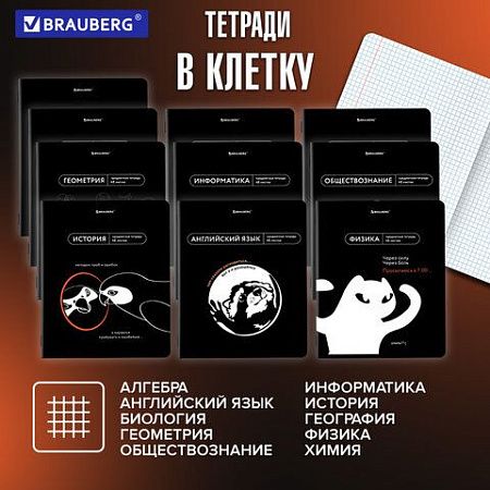 Тетради предметные, КОМПЛЕКТ 12 ПРЕДМЕТОВ, 48 л., TWIN лак, BRAUBERG "МЕМЫ", 405172