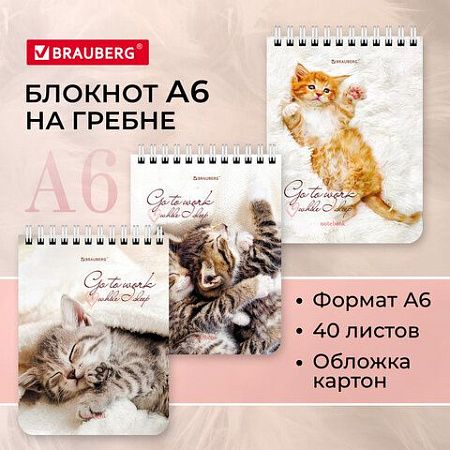 Блокнот МАЛЫЙ ФОРМАТ (108х145 мм) А6, 40 л., гребень, картон, клетка, BRAUBERG, "Милые котята", 114391