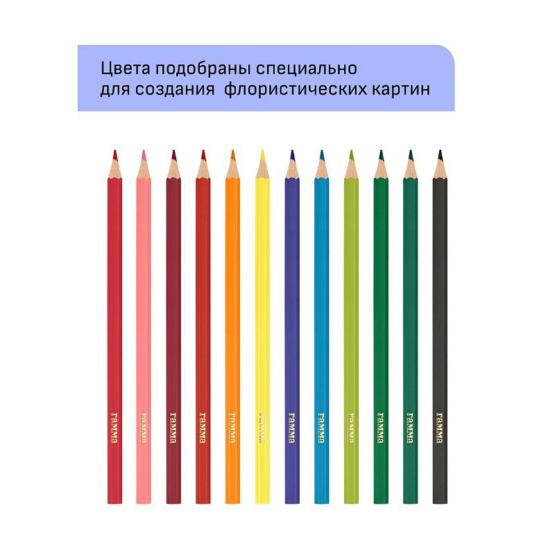 Карандаши цветные Гамма "Хобби. Флористика", 12цв., заточен., ПВХ, европодвес