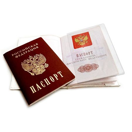 Обложка-чехол для листов паспорта (60шт.) ДПС, ПВХ 
