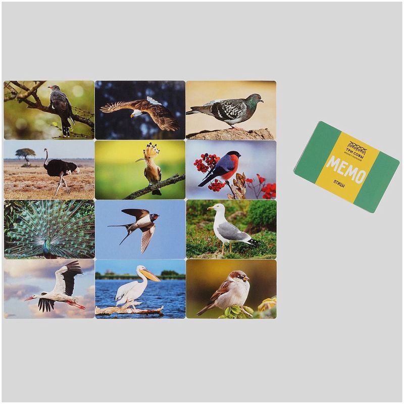 Игра настольная ТРИ СОВЫ "Мемо. Птицы", 50 карточек, картонная коробка 