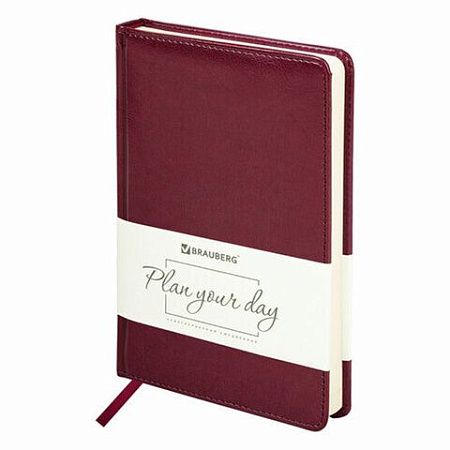 Ручка шариковая PARKER "Jotter Plastic CT", корпус красный, ежедневник А5 красный, пакет, 880897 
