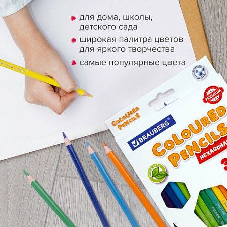 Карандаши цветные BRAUBERG PREMIUM, 12 цветов, пластиковые, шестигранные, грифель мягкий 3 мм, 181666
