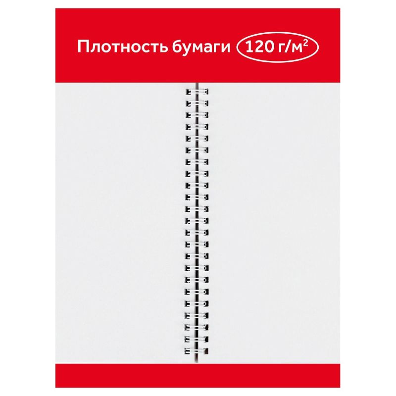 Альбом для рисования 40л., А4, на гребне Гамма "Мультики", 120г/м2