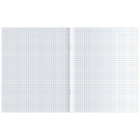 Тетрадь предметная 48л. ArtSpace "Котоцинизм" - Физика, ТВИН-лак