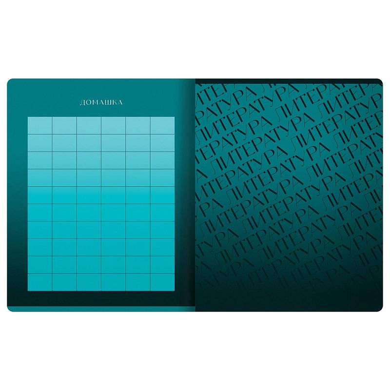 Тетрадь предметная 48л. BG "Темное стекло" - Литература, конгрев, твин-лак, 70г/м2