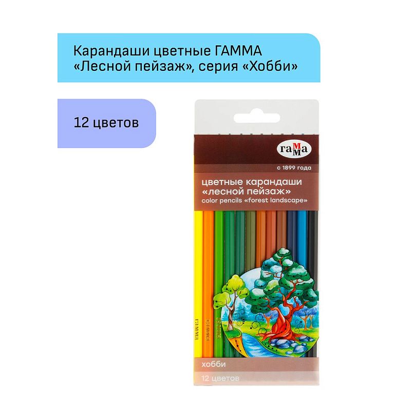 УЦЕНКА - Карандаши цветные Гамма "Хобби. Лесной пейзаж", 12цв., заточен., ПВХ, европодвес