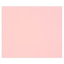 Цветная бумага 500*650мм, Clairefontaine "Tulipe", 25л., 160г/м2, светло-розовый, легкое зерно, 100%целлюлоза