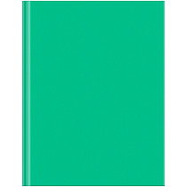 Бизнес-блокнот А5, 80л., BG "Для конференций", зеленый, глянцевая ламинация