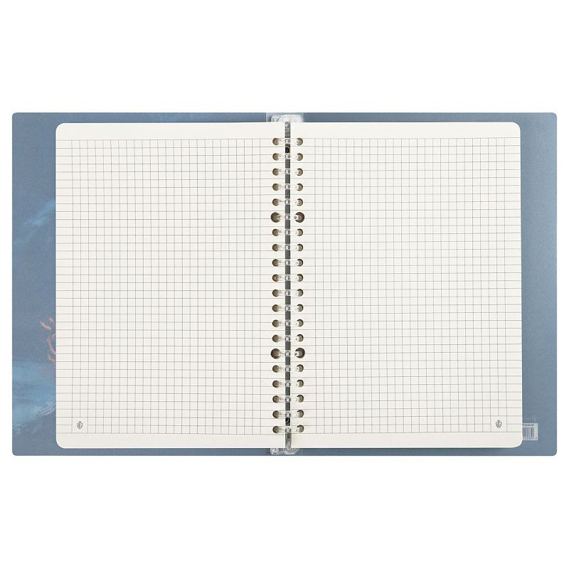 Тетрадь на кольцах А5, 80л., Greenwich Line "Encounter", пластиковая обложка, с разделителями