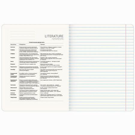 Тетрадь предметная МЕМЫ 48 л., TWIN-лак, ЛИТЕРАТУРА, линия, подсказ, BRAUBERG, 405104