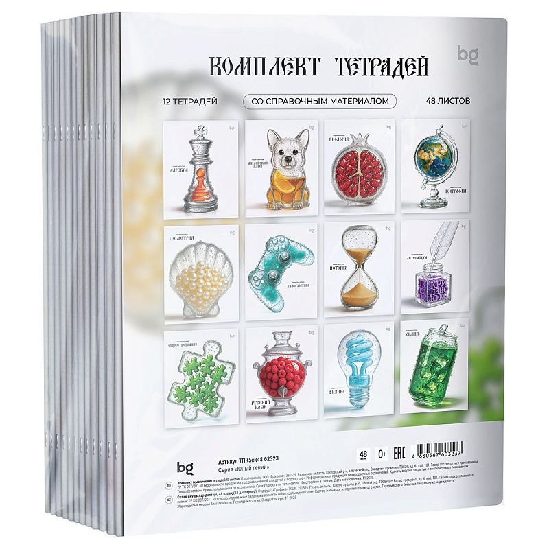 Комплект (12 шт.) предметных тетрадей 48л. BG "Юный гений", эконом