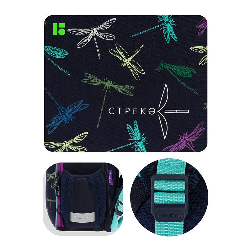 Ранец Berlingo Expert Mini "Dragonfly" 36*27*14см, 2 отделения, 2 кармана, анатомическая спинка, мешок для обуви 